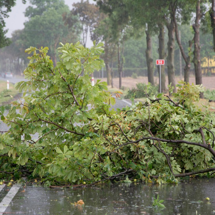 Just another WordPress site