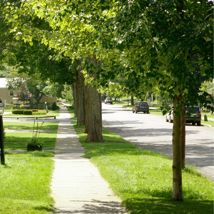 Just another WordPress site Just another WordPress site