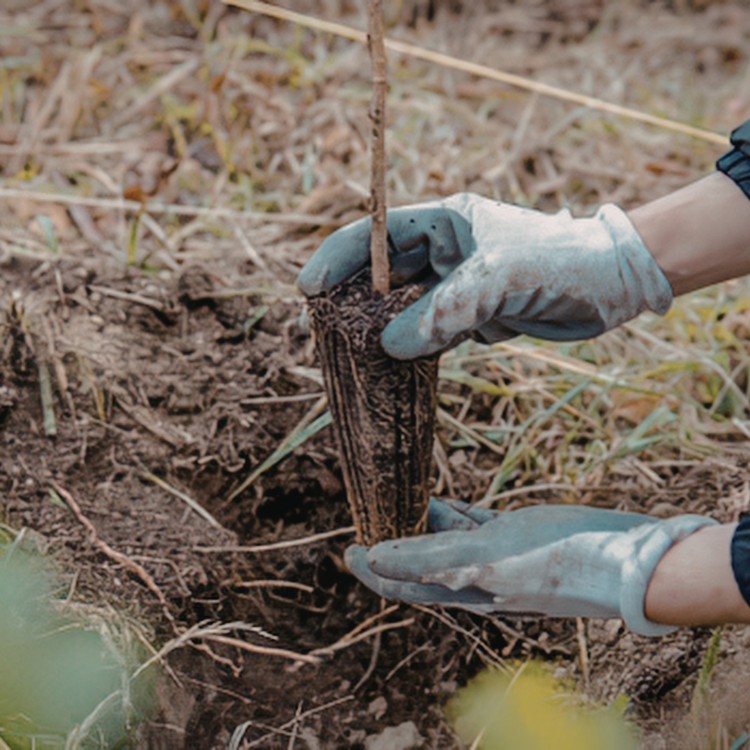 Just another WordPress site Just another WordPress site