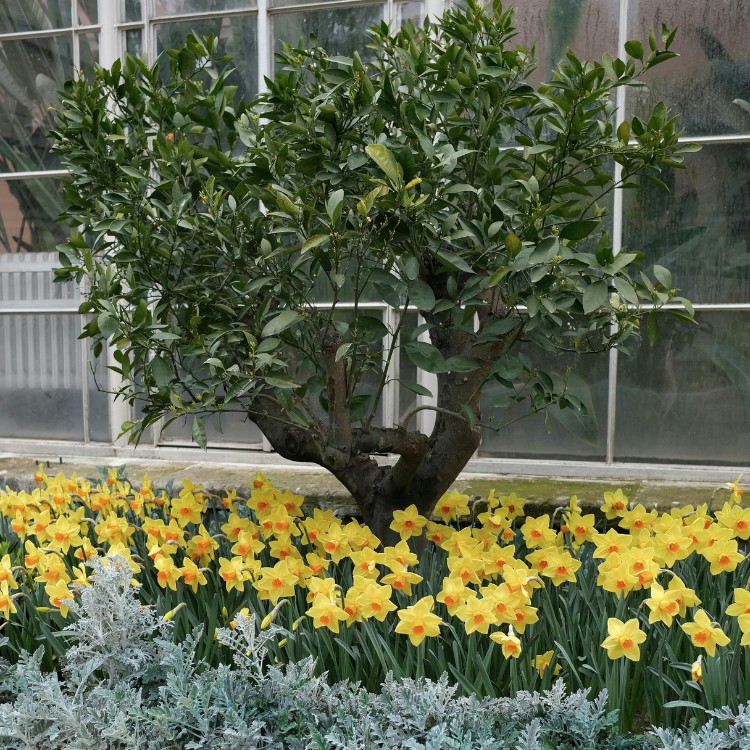 Just another WordPress site Just another WordPress site