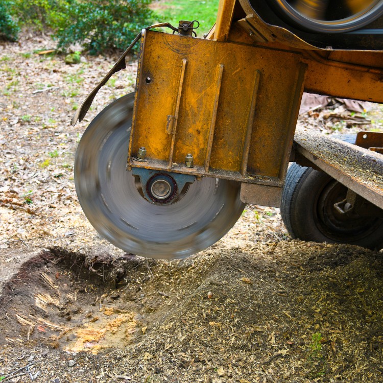 Just another WordPress site